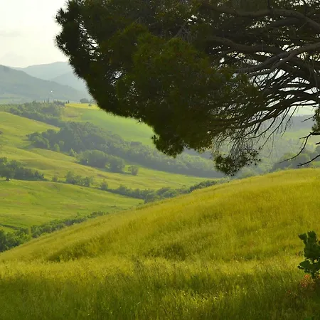 Tatil Evi Getaway Amidst Vineyards
