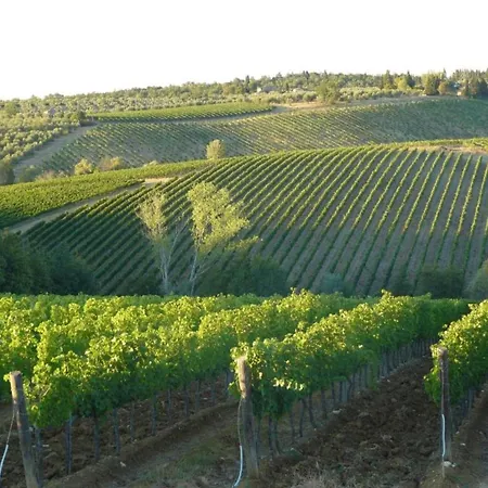 Getaway Amidst Vineyards Tatil Evi *