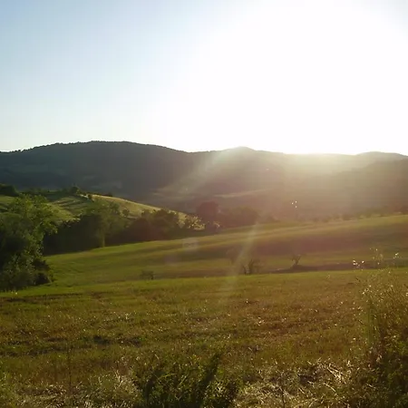 Getaway Amidst Vineyards Tatil Evi Montespertoli