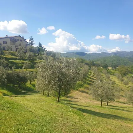 Getaway Amidst Vineyards Tatil Evi *