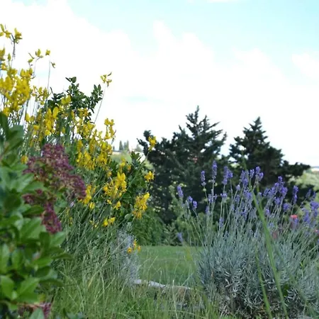 Tatil Evi Getaway Amidst Vineyards Montespertoli