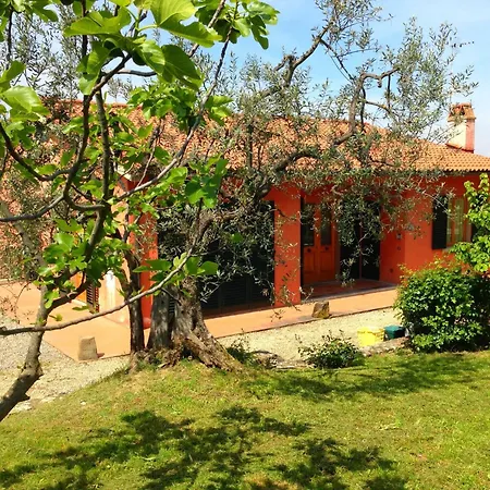 Getaway Amidst Vineyards