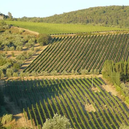 Getaway Amidst Vineyards Tatil Evi