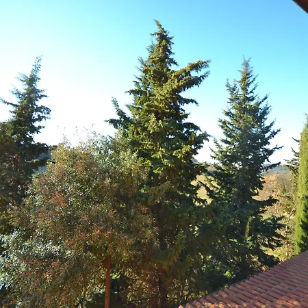 Tatil Evi Getaway Amidst Vineyards *