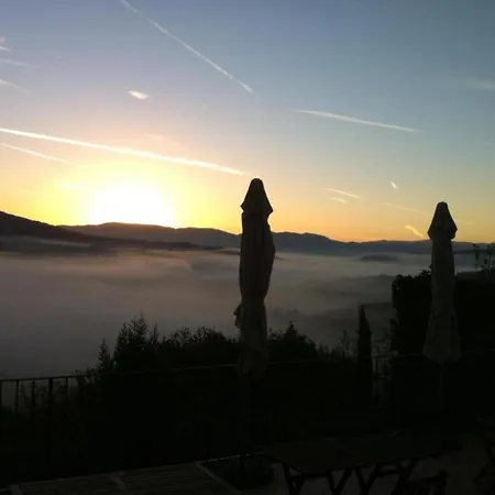 Getaway Amidst Vineyards
