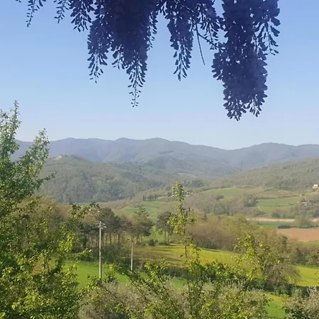 Tatil Evi Getaway Amidst Vineyards *