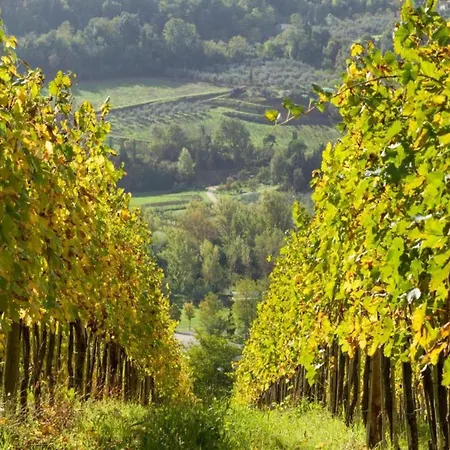 Getaway Amidst Vineyards Montespertoli