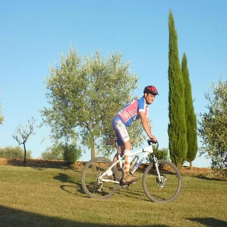Getaway Amidst Vineyards Tatil Evi